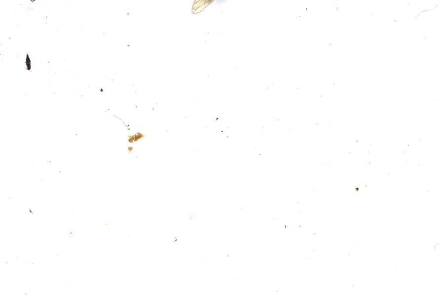 Image 90